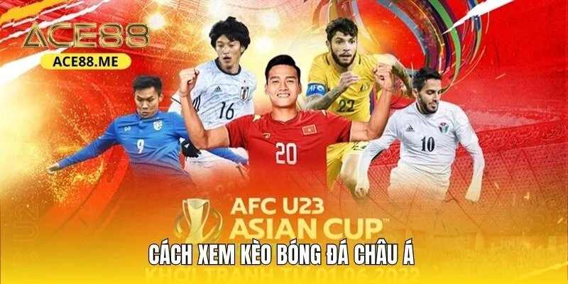 Cách đọc kèo bóng đá với những đặc quyền hấp dẫn
