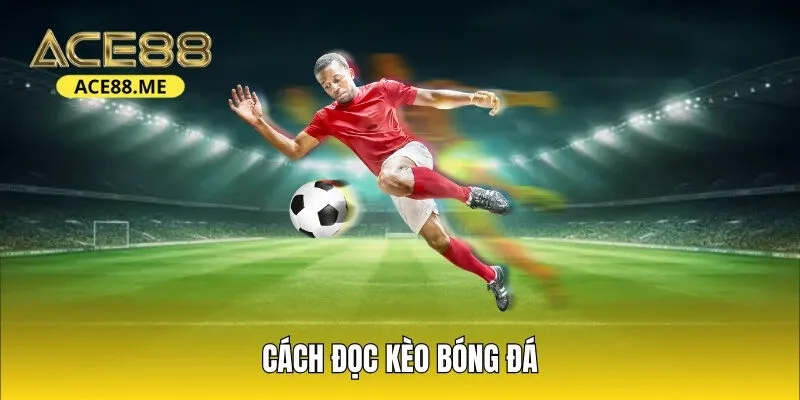 Cách đọc kèo bóng đá