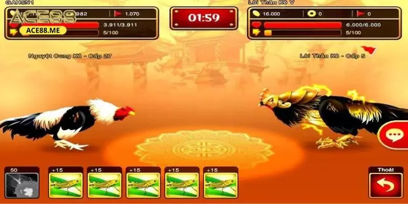 Những thể loại được yêu thích nhất đá gà ACE88