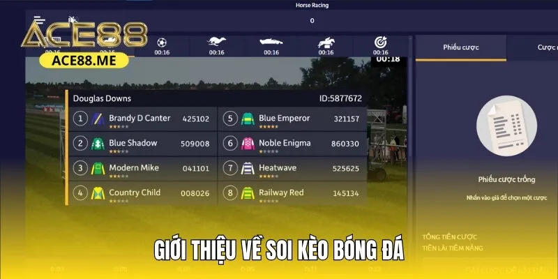 Soi kèo bóng đá cập nhật nhiều thông tin khách quan về trận đấu